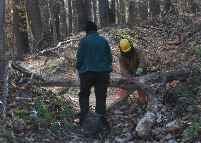 workers clearing a trail with a chainsaw