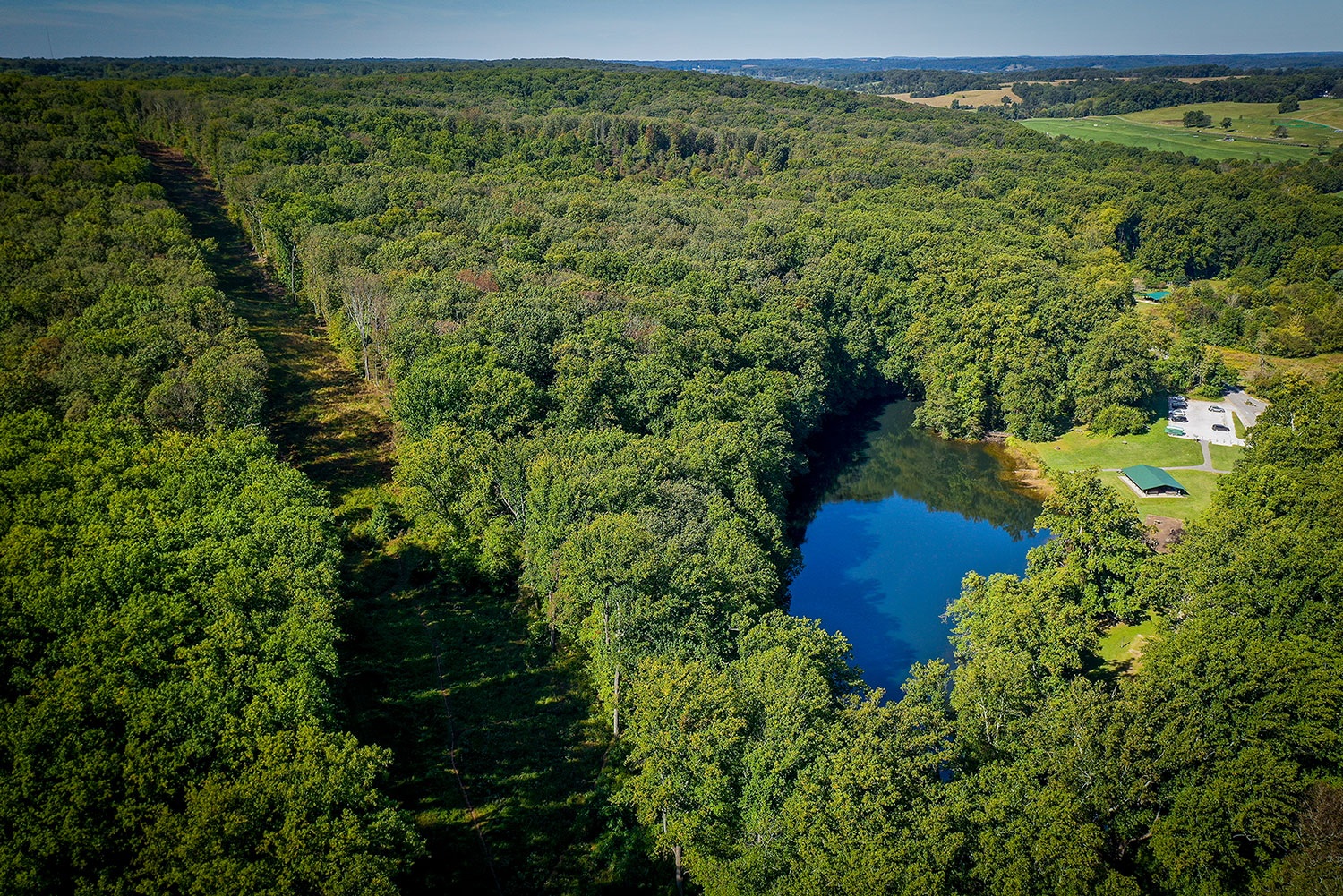 aerial view of lake and forest