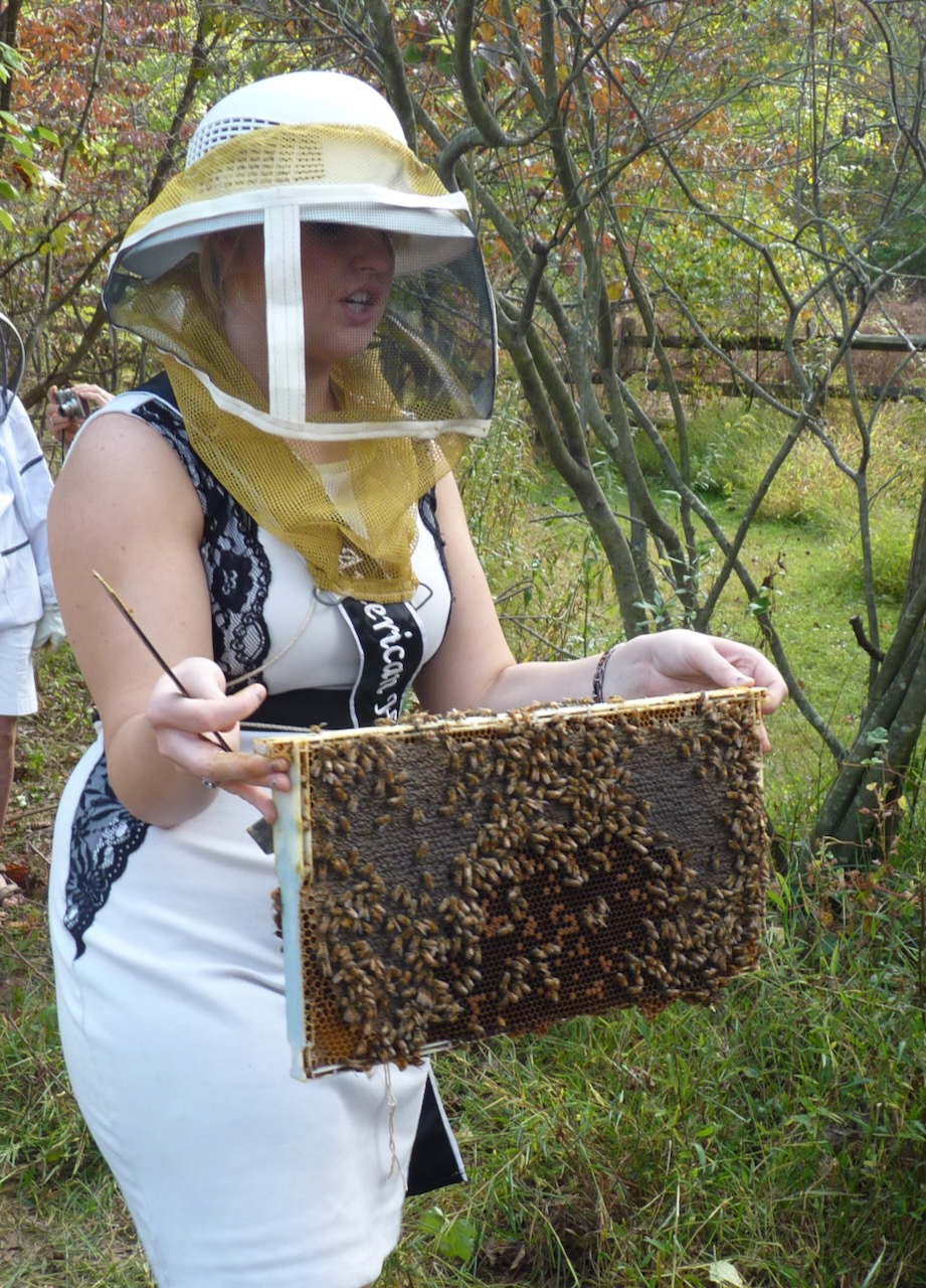 honey harvest