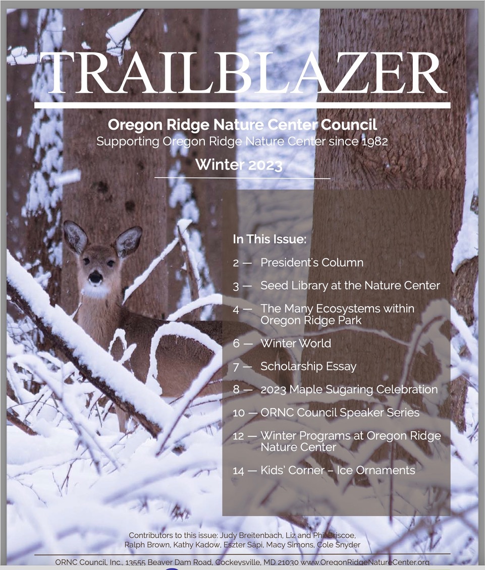 trailblazer newsletter cover
