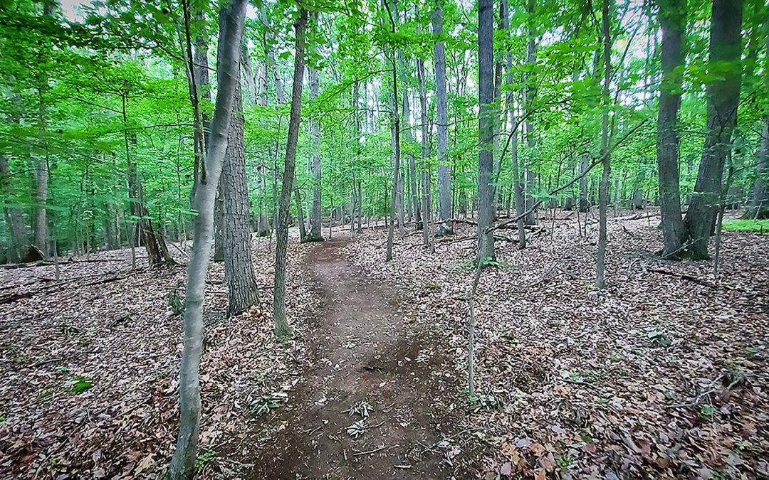 The Makings of a Sustainable Trail